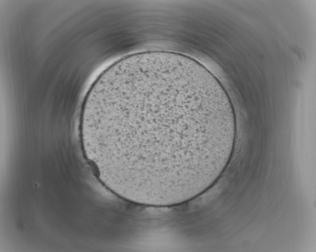 X0000114520912200911091148