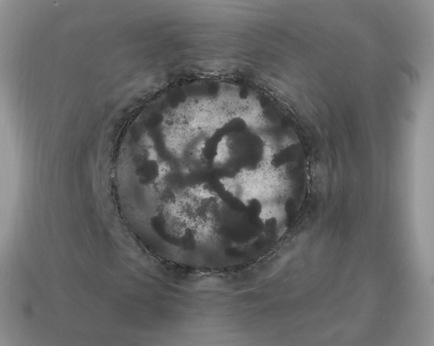 X0000114520913200911091147