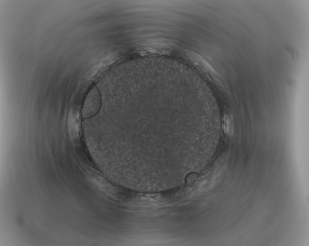 X0000114520915200911091147