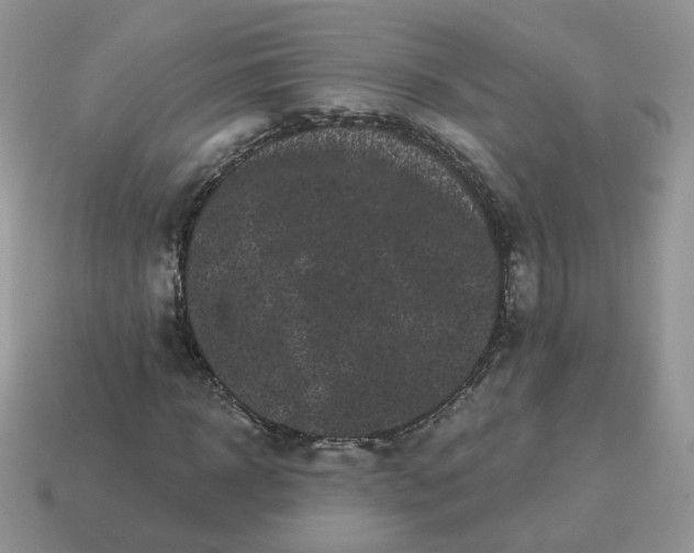 X0000114520918200911091147