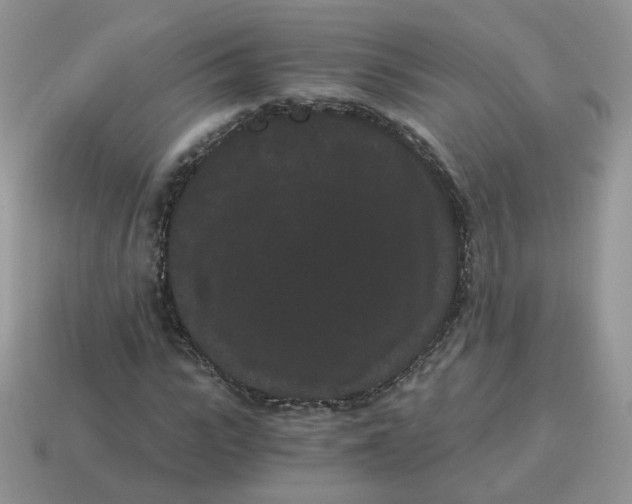 X0000114520919200911091147