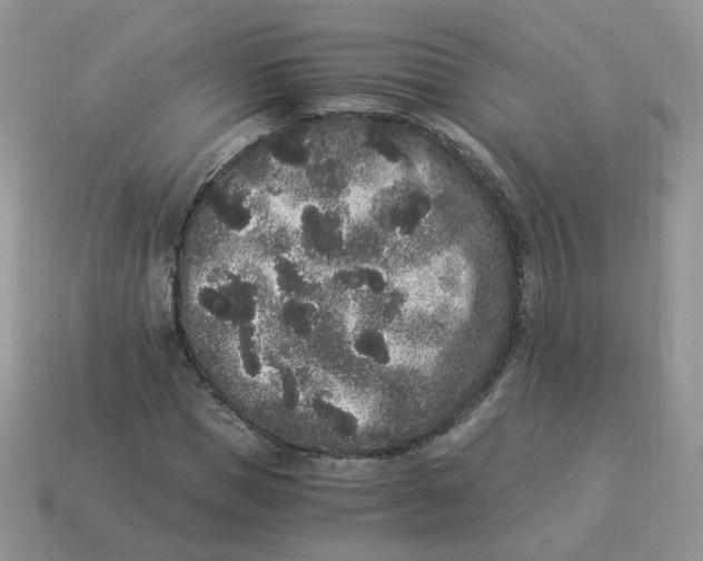 X0000114520921200911091147