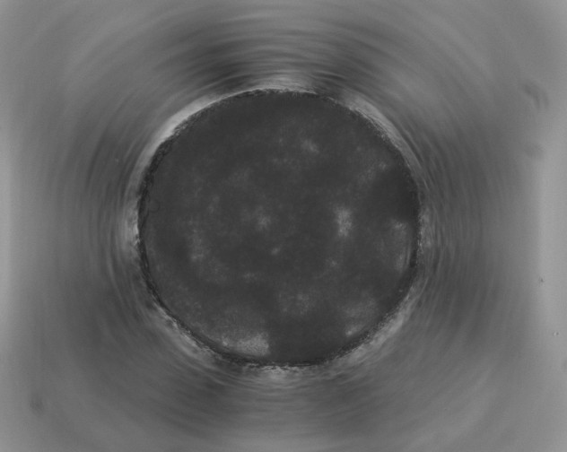 X0000114520923200911091147