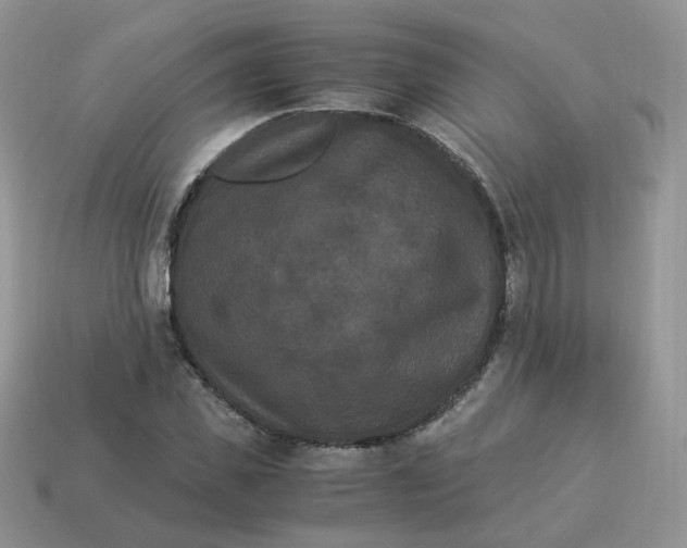 X0000114520925200911091147