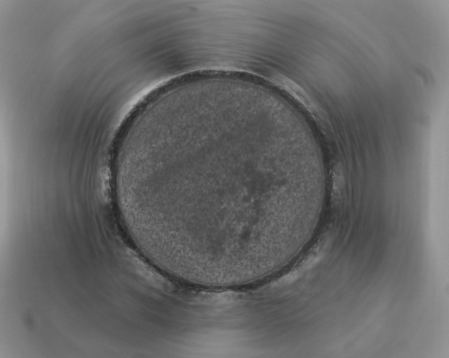 X0000114520926200911091147