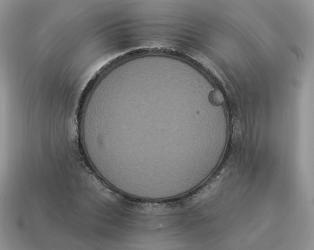 X0000114520927200911091148