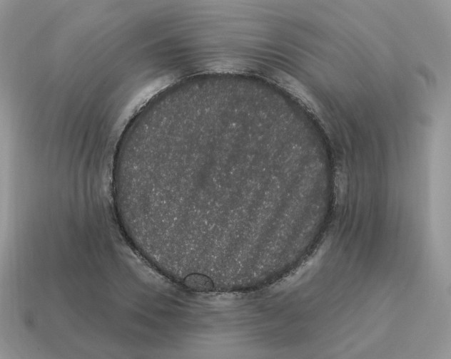 X0000114520930200911091148