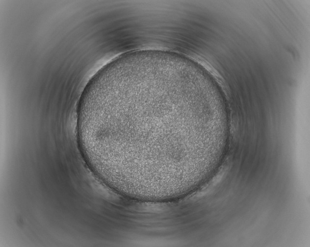 X0000114520933200911091148