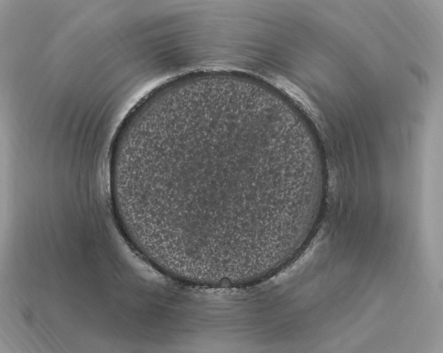 X0000114520934200911091148