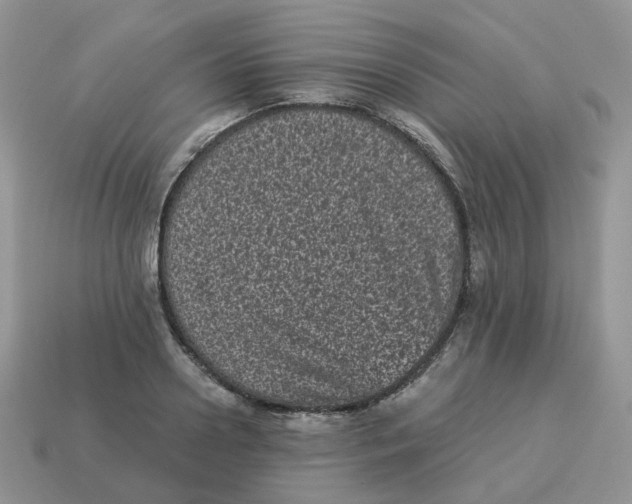 X0000114520938200911091148