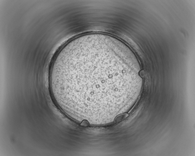 X0000114520939200911091148