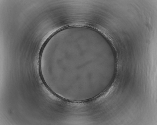 X0000114520941200911091148