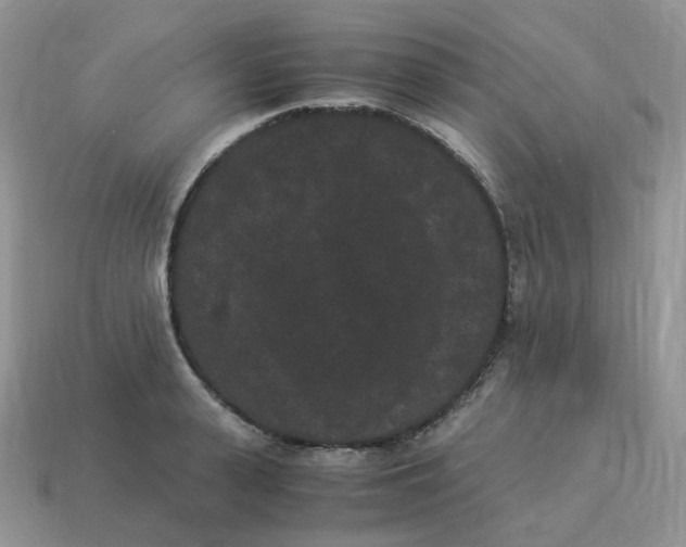 X0000114520943200911091148