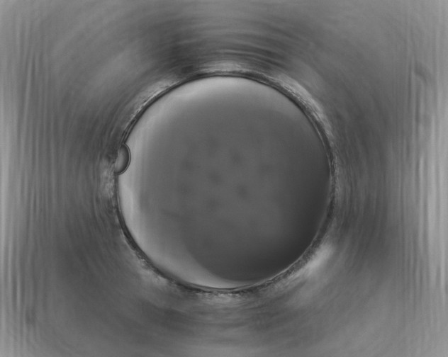 X0000114520945200911091148