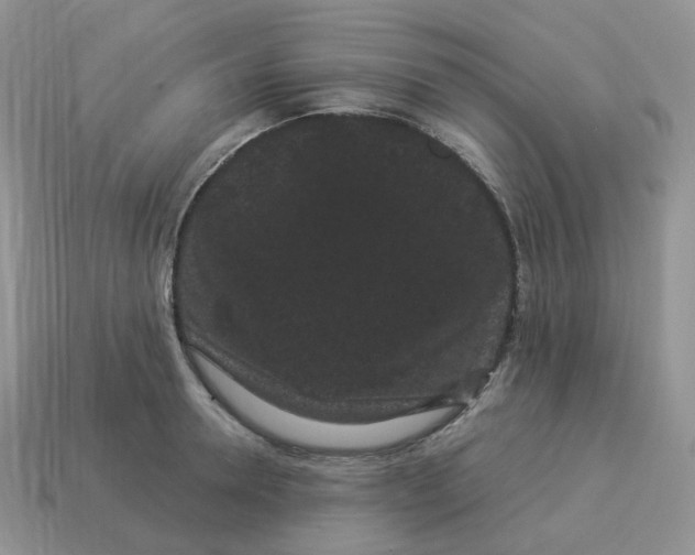 X0000114520946200911091148