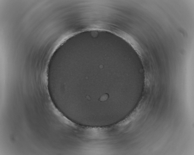 X0000114520950200911091148