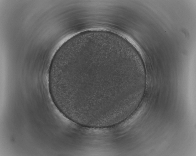 X0000114520951200911091148