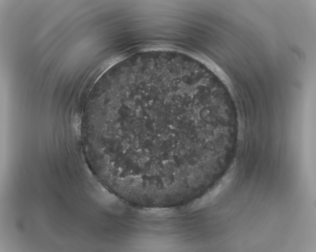 X0000114520953200911091148