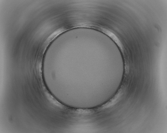 X0000114520954200911091148