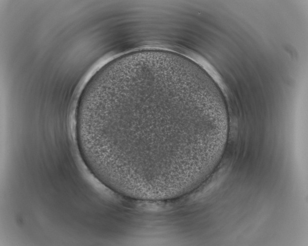 X0000114520955200911091148