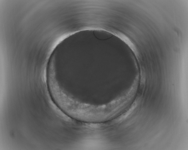 X0000114520958200911091148