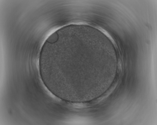 X0000114520959200911091148