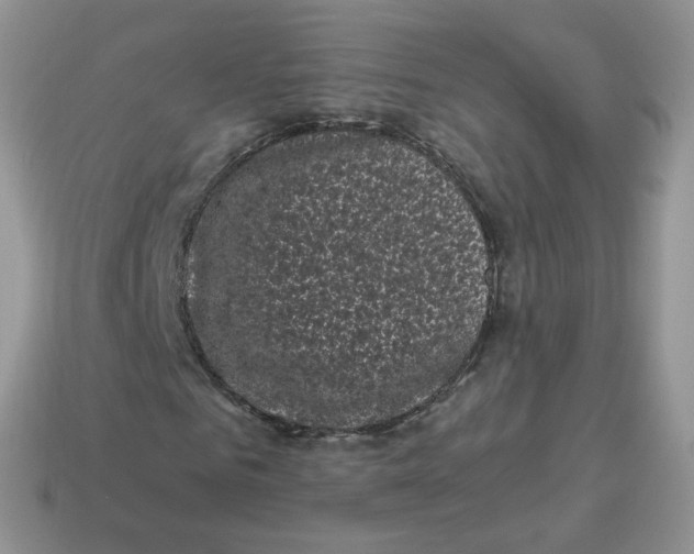 X0000114520961200911091147