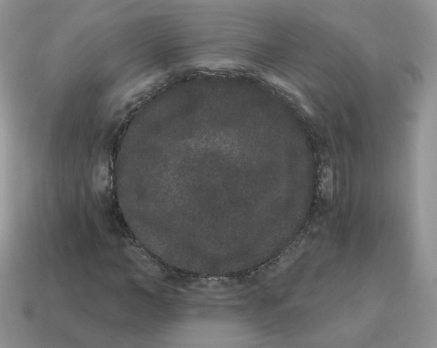 X0000114520966200911091147