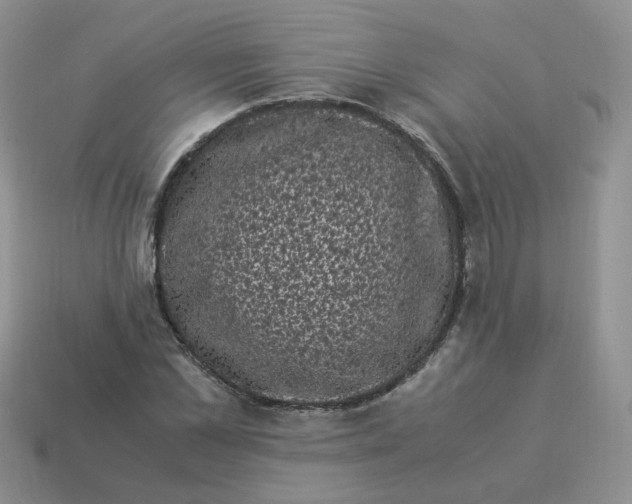 X0000114520973200911091147