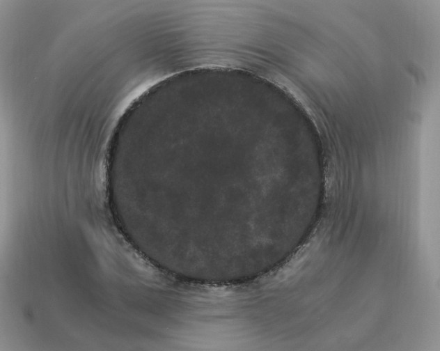 X0000114520975200911091147