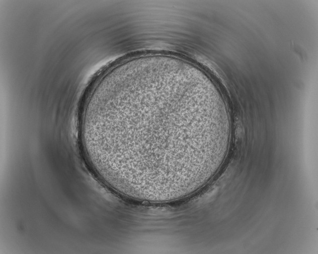 X0000114520979200911091147