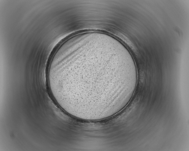 X0000114520980200911091147