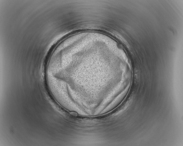 X0000114520981200911091147