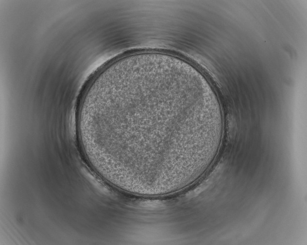 X0000114520982200911091147