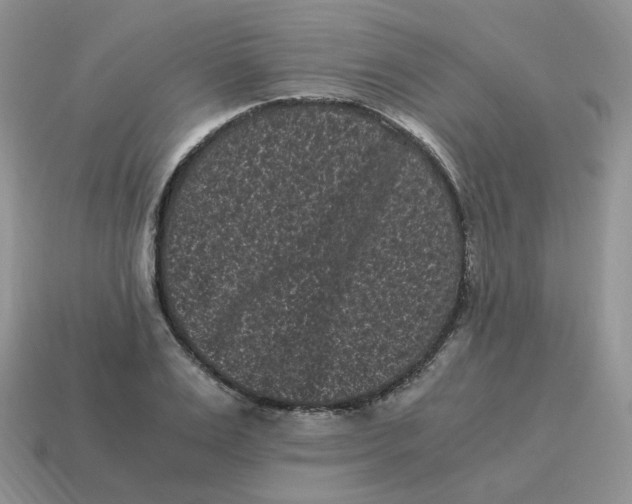 X0000114520983200911091147