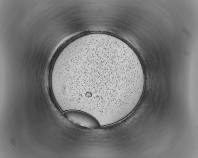 X0000114520984200911091147