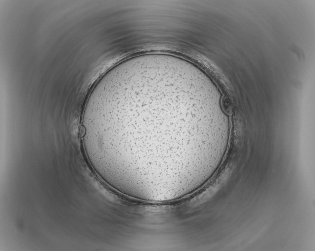 X0000114520985200911091147