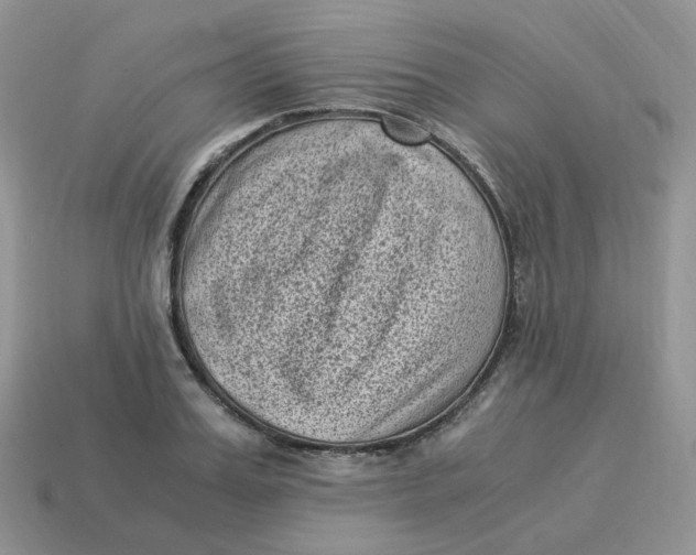 X0000114520987200911091147