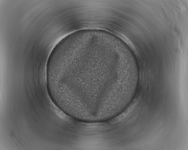 X0000114520988200911091147