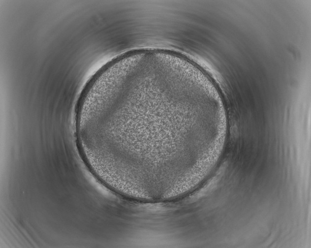 X0000114520990200911091147