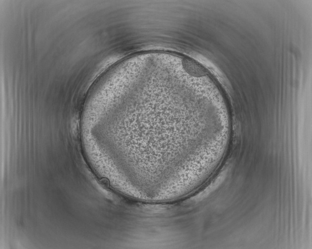 X0000114520993200911091147