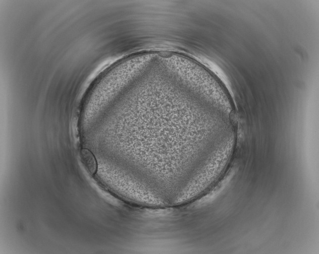 X0000114520997200911091147