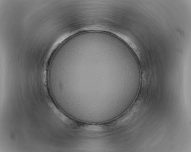 X0000114520998200911091147