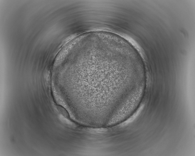 X0000114521001200911091147