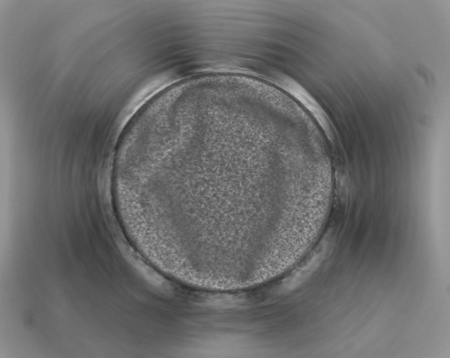 X0000114521002200911091147