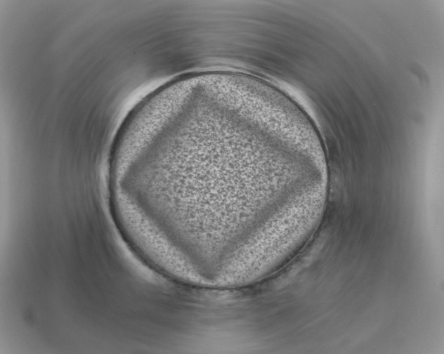 X0000114521003200911091147