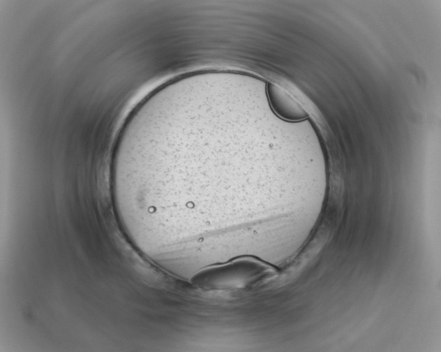 X0000114521004200911091147