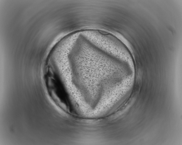 X0000114521005200911091147