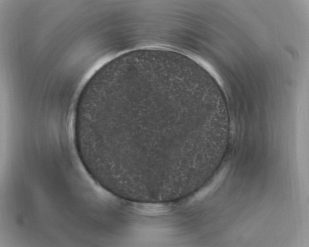 X0000114521007200911091147