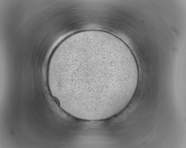 X0000114521008200911091147